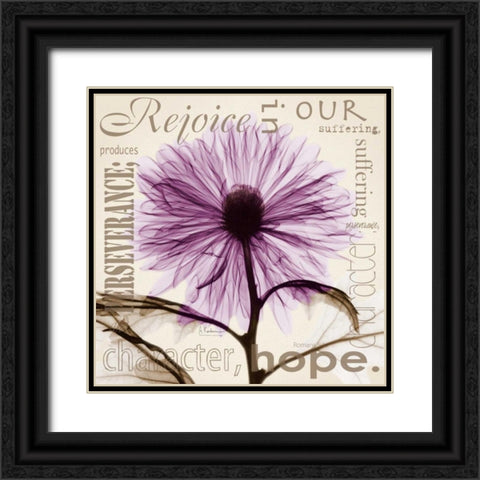 Rejoice - Violet Chrysanthemum Black Ornate Wood Framed Art Print with Double Matting by Koetsier, Albert