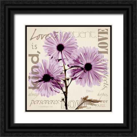 Love - Violet Chrysanthemum Black Ornate Wood Framed Art Print with Double Matting by Koetsier, Albert