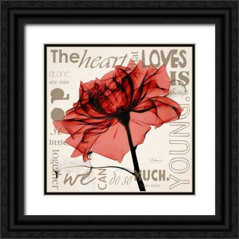 Red Rose Love Black Ornate Wood Framed Art Print with Double Matting by Koetsier, Albert