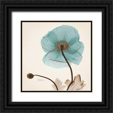 Iceland Poppy Believe Black Ornate Wood Framed Art Print with Double Matting by Koetsier, Albert