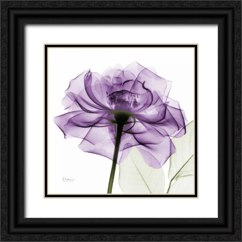 purpleRose Black Ornate Wood Framed Art Print with Double Matting by Koetsier, Albert