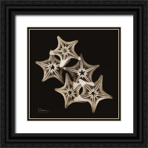 Starfish_sepia Black Ornate Wood Framed Art Print with Double Matting by Koetsier, Albert