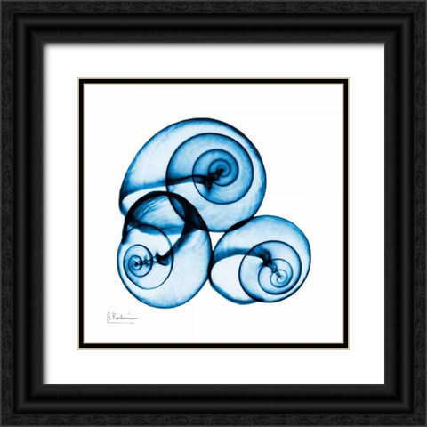 Electric Blue Moonsnails 1 Black Ornate Wood Framed Art Print with Double Matting by Koetsier, Albert