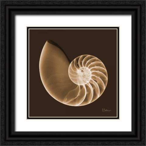 Sepia Nautilus Black Ornate Wood Framed Art Print with Double Matting by Koetsier, Albert