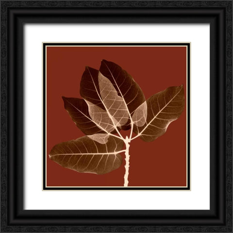 Harvest Leaves 1A Black Ornate Wood Framed Art Print with Double Matting by Koetsier, Albert