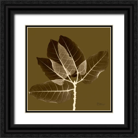 Harvest Leaves 1D Black Ornate Wood Framed Art Print with Double Matting by Koetsier, Albert