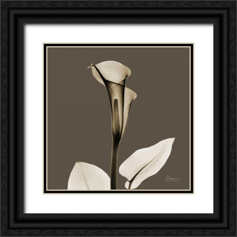 Slate Calla Black Ornate Wood Framed Art Print with Double Matting by Koetsier, Albert