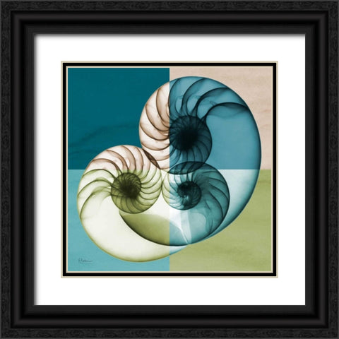 Blue Green Shell 2 Black Ornate Wood Framed Art Print with Double Matting by Koetsier, Albert