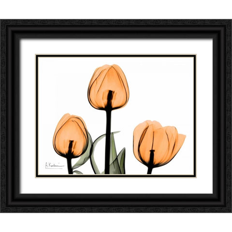 Tulips Orange Black Ornate Wood Framed Art Print with Double Matting by Koetsier, Albert