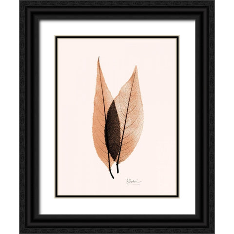 Caplulin Cherry Orange Black Ornate Wood Framed Art Print with Double Matting by Koetsier, Albert