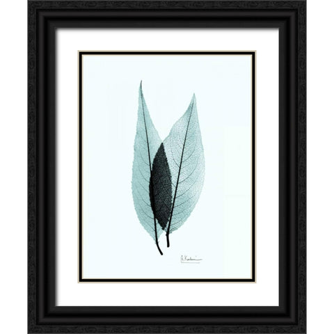 Caplulin Cherry Teal Black Ornate Wood Framed Art Print with Double Matting by Koetsier, Albert