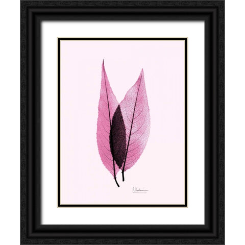 Caplulin Cherry Pink Black Ornate Wood Framed Art Print with Double Matting by Koetsier, Albert