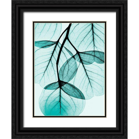 Teal Eucalyptus Black Ornate Wood Framed Art Print with Double Matting by Koetsier, Albert