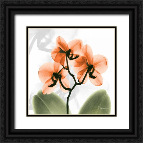 BW Orchid Orange Black Ornate Wood Framed Art Print with Double Matting by Koetsier, Albert