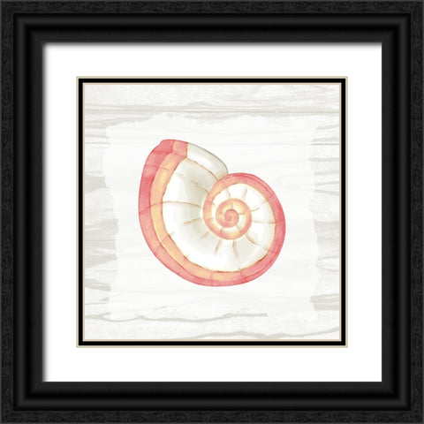 Coral Shells On Wood 1 Black Ornate Wood Framed Art Print with Double Matting by Bailey, Ann