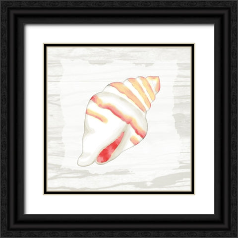 Coral Shells On Wood 2 Black Ornate Wood Framed Art Print with Double Matting by Bailey, Ann