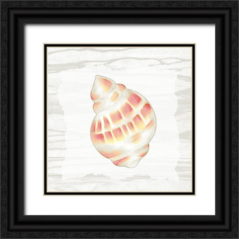 Coral Shells On Wood 3 Black Ornate Wood Framed Art Print with Double Matting by Bailey, Ann