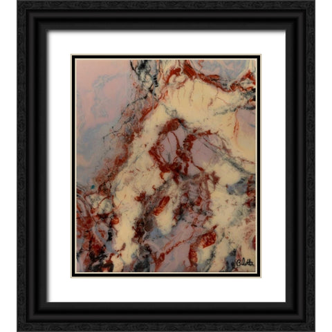 Wide Variety of Poses Black Ornate Wood Framed Art Print with Double Matting by Bilotta, Barbara