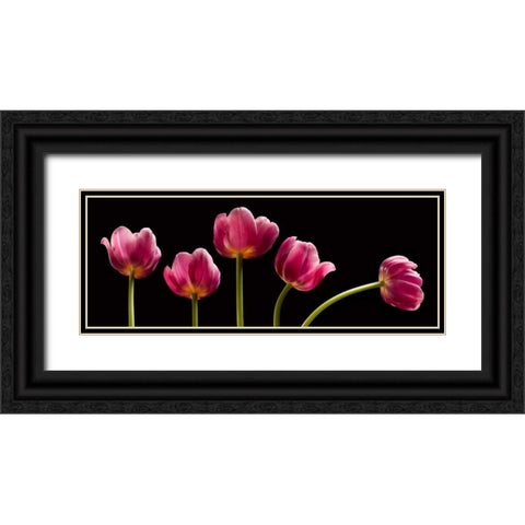 Five Tulips Black Ornate Wood Framed Art Print with Double Matting by Seidman, Barry