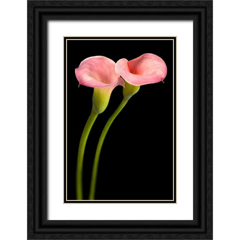 Pink Calla Lilies Black Ornate Wood Framed Art Print with Double Matting by Seidman, Barry