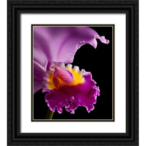Purple Orchid Black Ornate Wood Framed Art Print with Double Matting by Seidman, Barry
