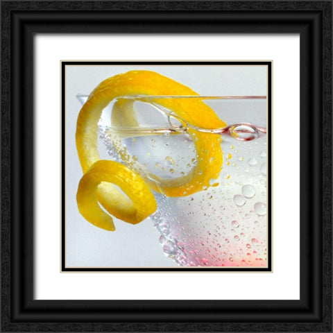 Lemon Twist Black Ornate Wood Framed Art Print with Double Matting by Seidman, Barry