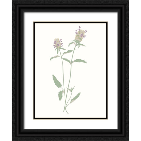 Wildflowers Heal All Black Ornate Wood Framed Art Print with Double Matting by Sweet Melody Designs