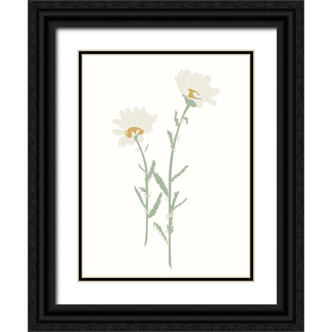 Wildflower Oxeye Daisy Black Ornate Wood Framed Art Print with Double Matting by Sweet Melody Designs
