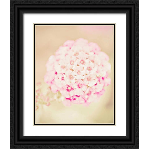 Pink Flower Ball Black Ornate Wood Framed Art Print with Double Matting by Davis Ashley