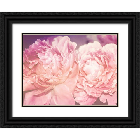 Pink Peony Black Ornate Wood Framed Art Print with Double Matting by Davis Ashley