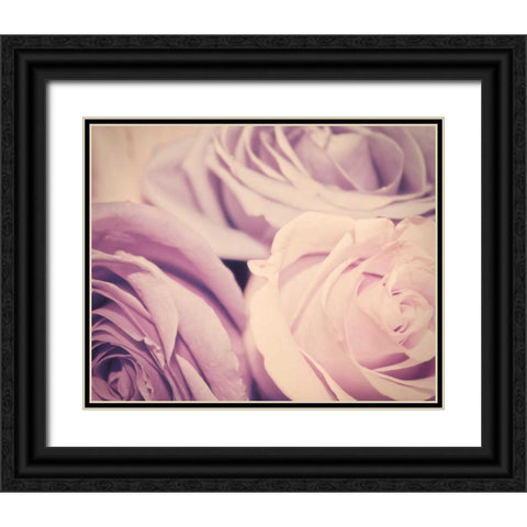 Purple vintage roses Black Ornate Wood Framed Art Print with Double Matting by Davis Ashley
