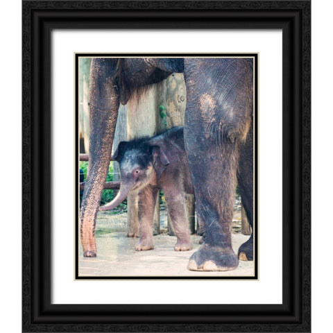 Bowie and mom Black Ornate Wood Framed Art Print with Double Matting by Davis Ashley