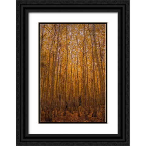 Peace Black Ornate Wood Framed Art Print with Double Matting by Brown, Denise