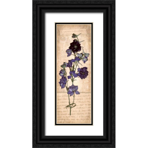 July Larkspur Black Ornate Wood Framed Art Print with Double Matting by Stimson, Diane