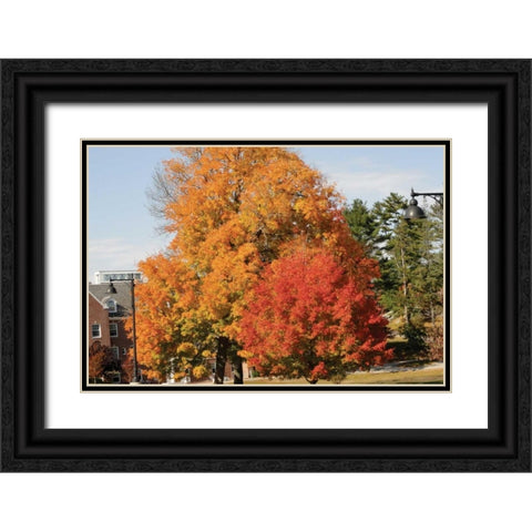 Autumnal 4 Black Ornate Wood Framed Art Print with Double Matting by Stimson, Diane