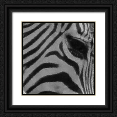 IntoThe Wild 5 Black Ornate Wood Framed Art Print with Double Matting by Stimson, Diane