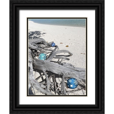 Driftwood Ornaments Black Ornate Wood Framed Art Print with Double Matting by Stimson, Diane
