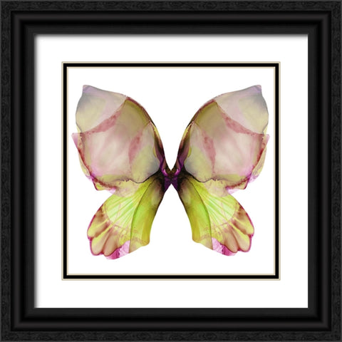 Floral Butterfly 2 Black Ornate Wood Framed Art Print with Double Matting by Debs, Emma Catherine