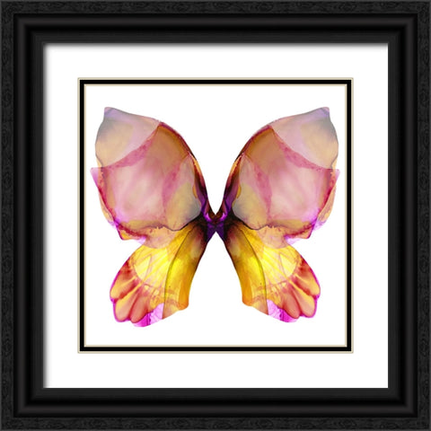 Floral Butterfly 4 Black Ornate Wood Framed Art Print with Double Matting by Debs, Emma Catherine