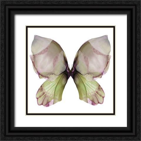 Floral Butterfly 1 Black Ornate Wood Framed Art Print with Double Matting by Debs, Emma Catherine
