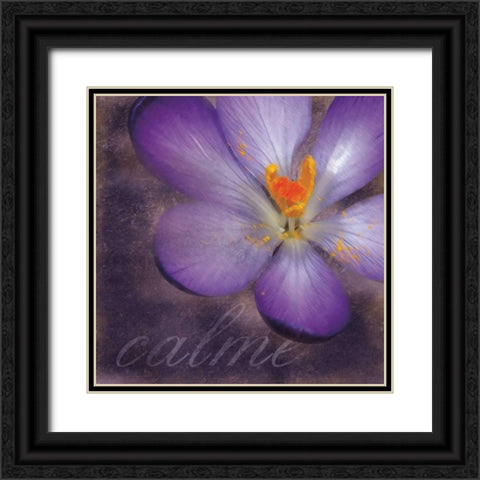 Calm Flower Black Ornate Wood Framed Art Print with Double Matting by Gibbons, Lauren