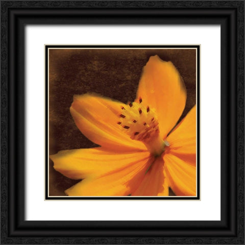 Just The Flower Black Ornate Wood Framed Art Print with Double Matting by Gibbons, Lauren