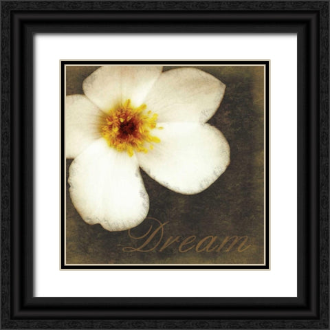 White Dream Flower Black Ornate Wood Framed Art Print with Double Matting by Gibbons, Lauren