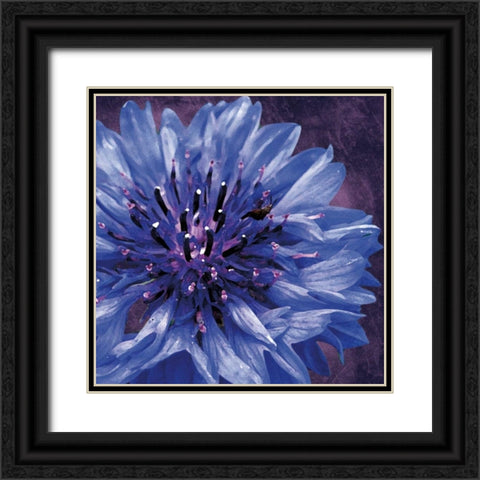 Purple Flower Black Ornate Wood Framed Art Print with Double Matting by Gibbons, Lauren