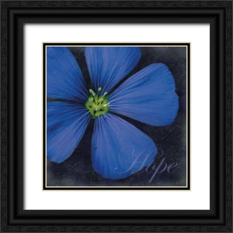 Hope Flower Black Ornate Wood Framed Art Print with Double Matting by Gibbons, Lauren