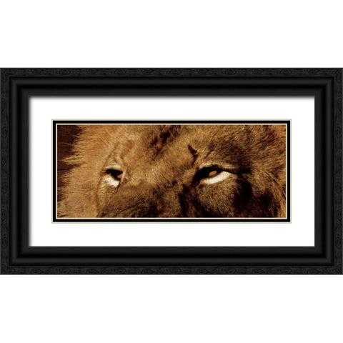 Lion Eyes Black Ornate Wood Framed Art Print with Double Matting by Grey, Jace