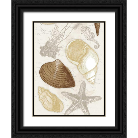 Shells Black Ornate Wood Framed Art Print with Double Matting by Grey, Jace