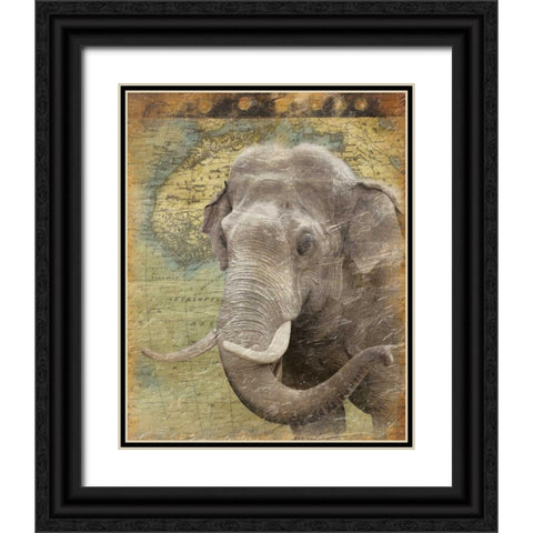 Elephant 2 Black Ornate Wood Framed Art Print with Double Matting by Grey, Jace