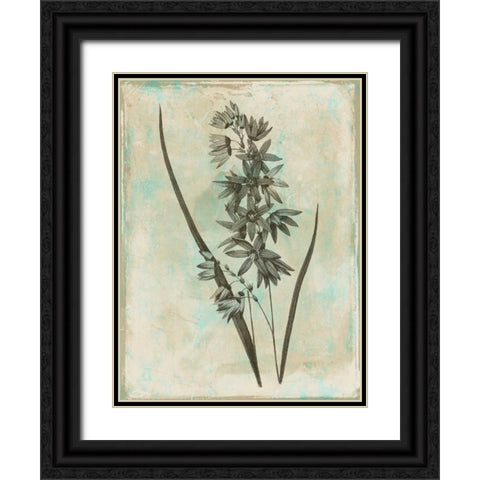 Earthy Blend Black Ornate Wood Framed Art Print with Double Matting by Grey, Jace