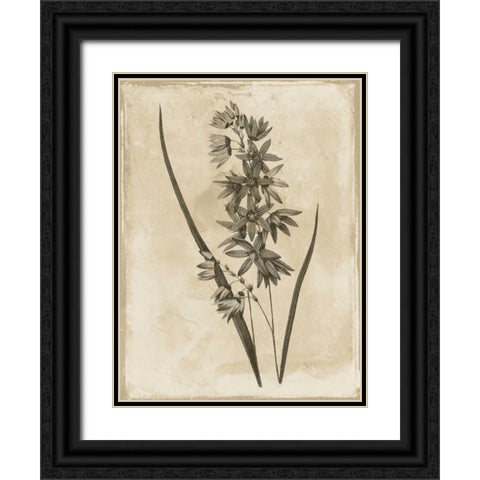 Earthy  floral 3 Black Ornate Wood Framed Art Print with Double Matting by Grey, Jace